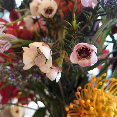 ｼﾍﾞﾘｱ 🐏23w🩰