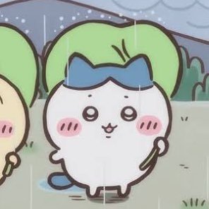 なしはな