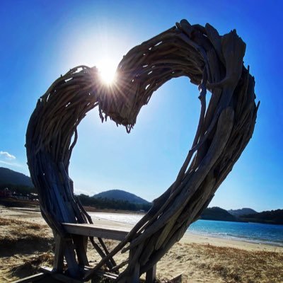 花は誰のもの？🏵️