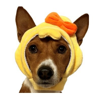 ピーロン🍋🧡