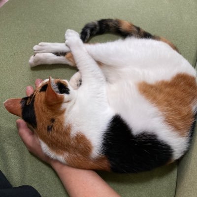 とり
