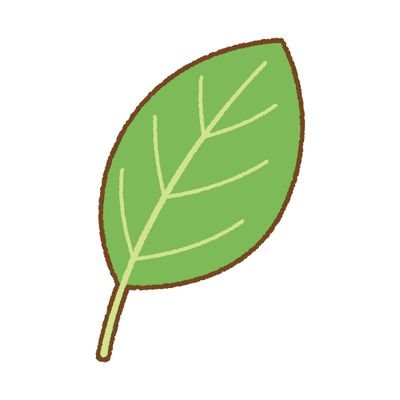 菖蒲