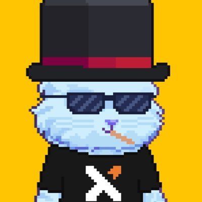 Raize_w