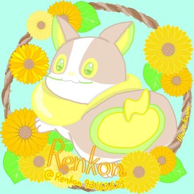 Renkon(レンコン)