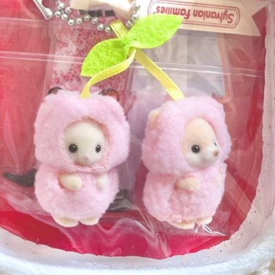 ぴち❕全力❕🍯🍞🍓