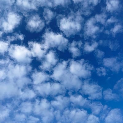 c.true @ちー（치에）