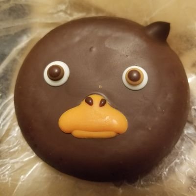 KURO@日プ藤牧大雅応援し隊