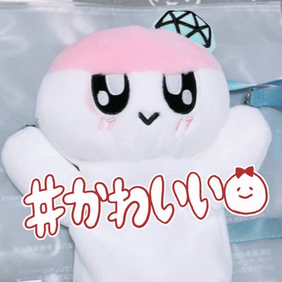 祖母ﾝﾎﾞﾝｲ