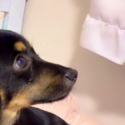 SeriCar｜Webデザイン勉強中