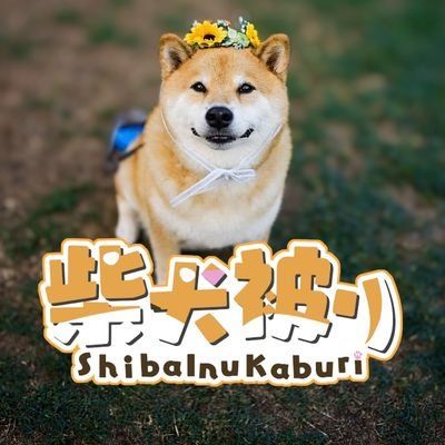 柴犬被りのアイコン