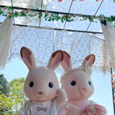 ういんたー