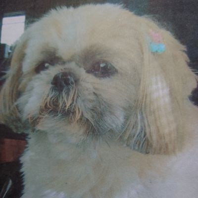 クラシック音楽とスピリチュアル三昧のToshi🎻🎶🌌