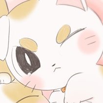 TaConess(たこちゅ)