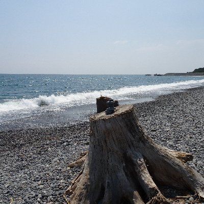 𝓣𝓪𝓴𝓪𝓴𝓲