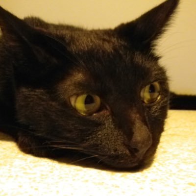 UDOOOOONS（うどん’25）