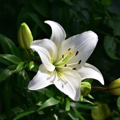 おばちゃんﾖﾘ愛を込めて😄