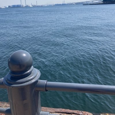 雑食　ᕦ(ò_óˇ)ᕤ