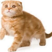 ひろさん한국인과 친구가 되고 싶은