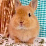 京🌅⟭⟬⁷⟬⟭幸福🥰Future's gonna be okay🥰@真逆🥰