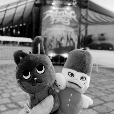 びにとりびに 𝚁𝙸𝙸𝚉𝙴 𝙵𝙰𝙼𝙴 🐈‍⬛🐾🎸🧡