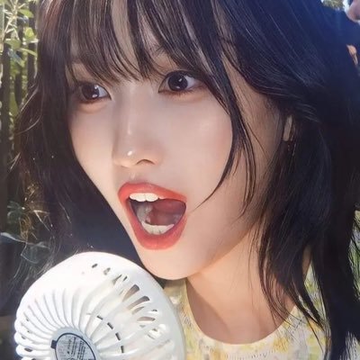 Aiko Tanaka( 田中 愛子 )