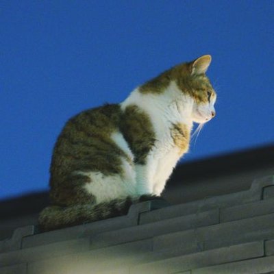 勇者だいすけーる 📷