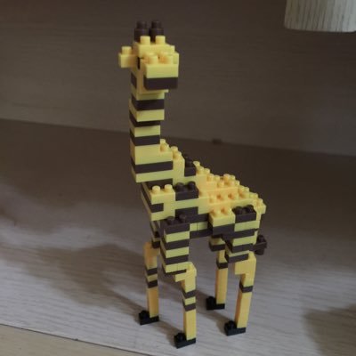 ゆと⚡️💫🫶🐬