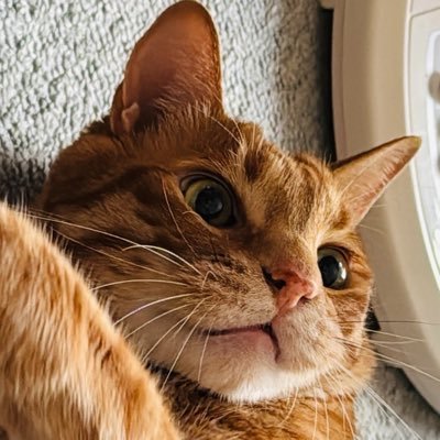 ちょみたろう