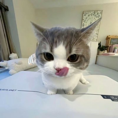 小麦