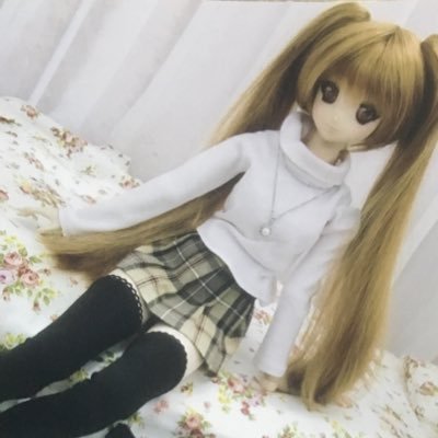 茶乃助（猫茶）