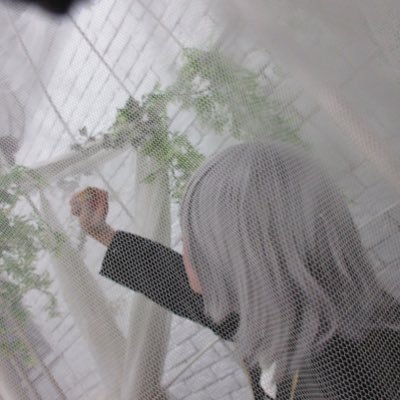 まぐろ 1/5🪞オフ会