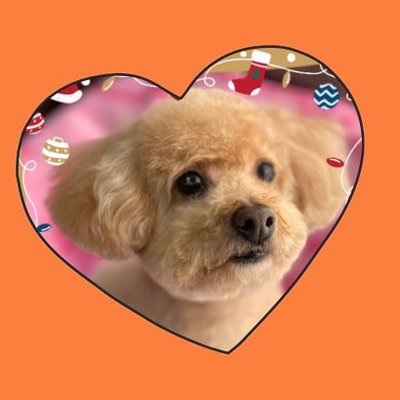 Y.まる子(YU-MARU)🧡🦭