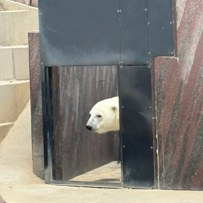ユキ