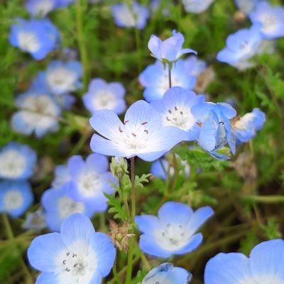 ユウ☆。.:＊・゜