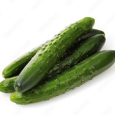座敷かっぱ
