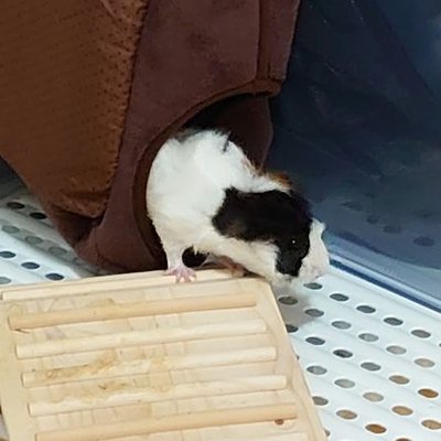 いつでもぼっち旅＠たけちゃん