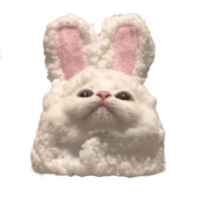 𝑯𝒊𝒚𝒐𝒓𝒊🩵