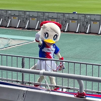 けこ