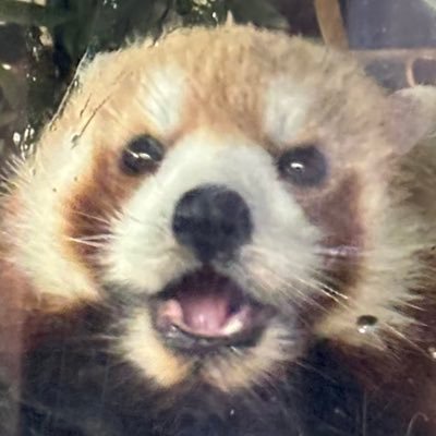 糸まきまき