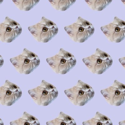 とり。