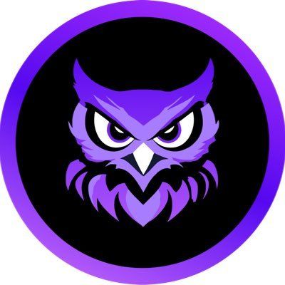 _Sol_Owl