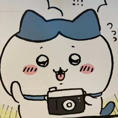 えび🐰
