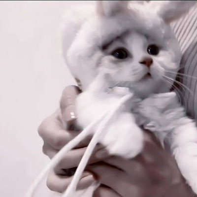 ♡⋆͛