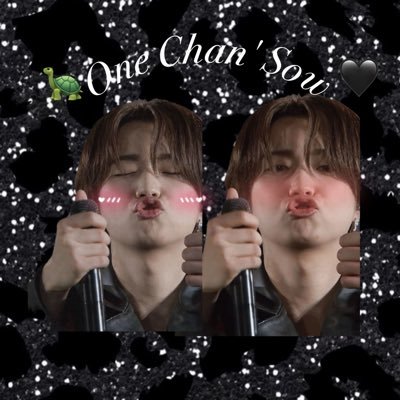 Jチャンソー🐢