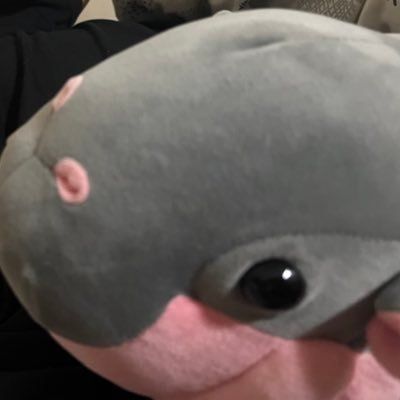 ドスメルメルモ