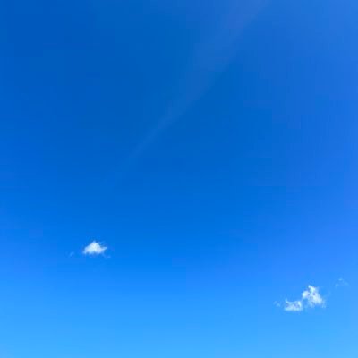 遅咲き美容課金ちゃん