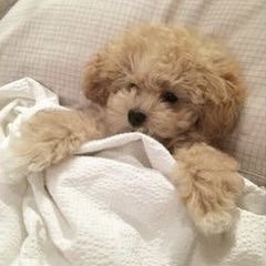 𝑚𝑎𝑖 𓈒 ˖𐙚