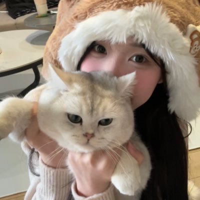 🐰:)