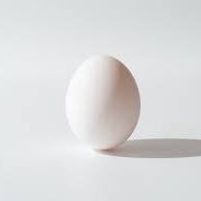 egg