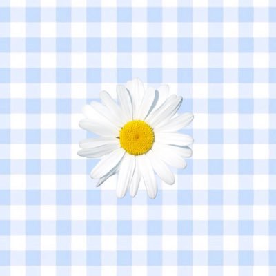 아 오 🦊🦋🐶